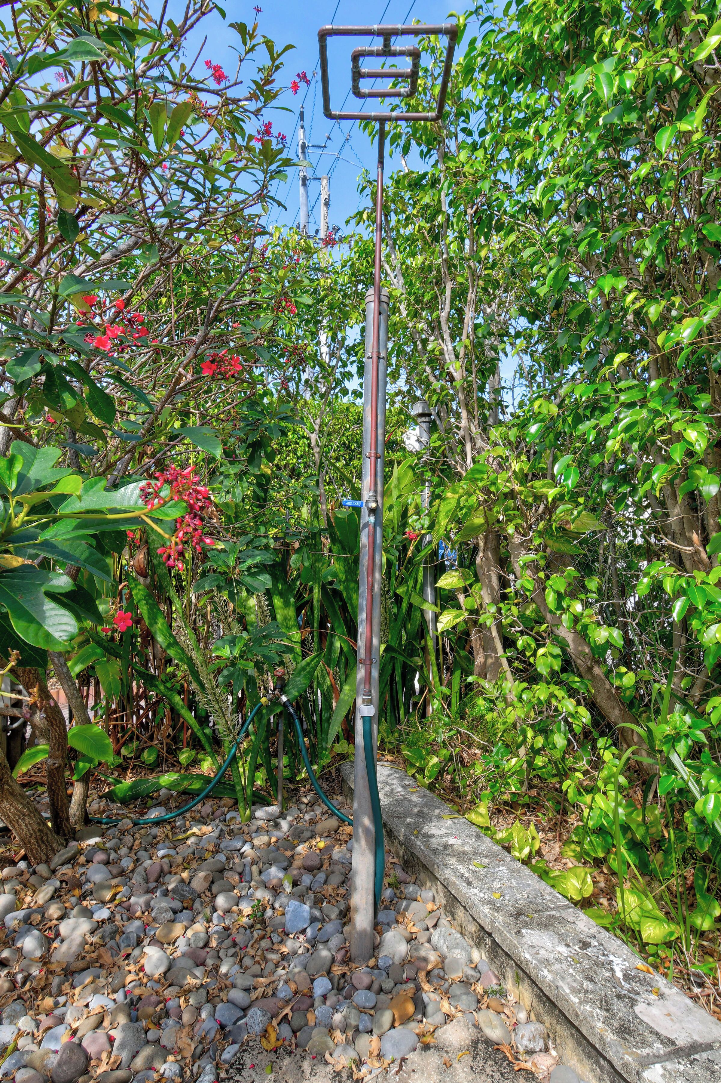 A utility pole with a directional sign amidst lush greenery and flowering plants.