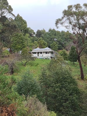 Exterior - Foster - Nature Retreat -  Nippards Nature Cottage (Woorarra West)