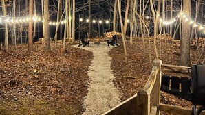 Un sentier bordé d’arbres, illuminé de guirlandes lumineuses, avec des bancs et une structure en bois.