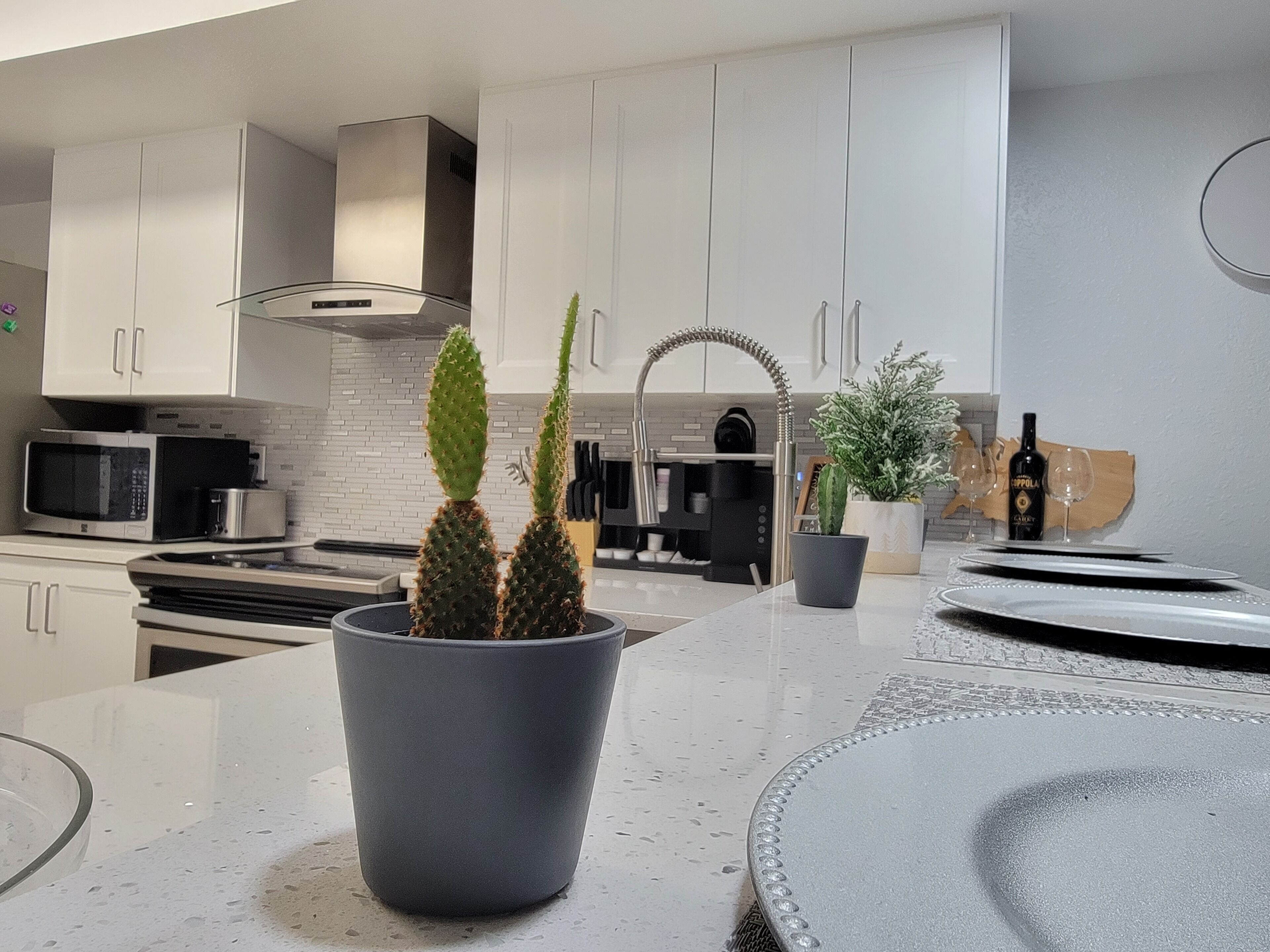 Een moderne keuken met witte kasten, een roestvrijstalen afzuigkap, een magnetron en een koffiezetapparaat. Op het aanrecht staan twee potplanten.