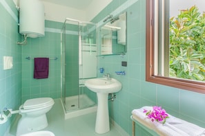 Shower, hair dryer, bidet, towels