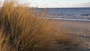 A beach with tall grasses in the foreground and a clear view of the ocean in the background. - Apartment 'Gardensuite Binz' with Pool, Wi-Fi & Terrace (Binz)