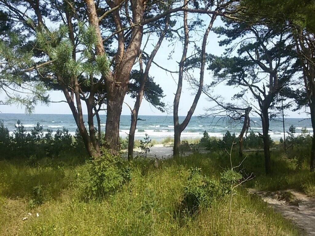 Am Strand