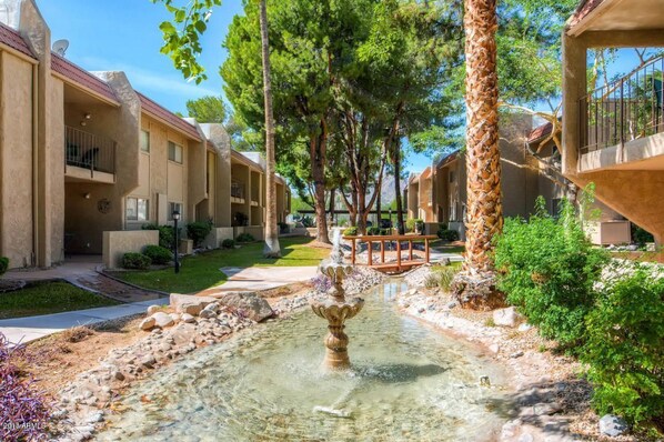 Terrain de l’hébergement 