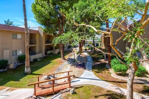 Terrain de l’hébergement 