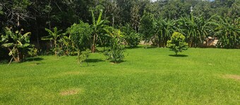 Luxury villa on organic farm surrounded by nature
