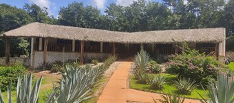 Luxury villa on organic farm surrounded by nature