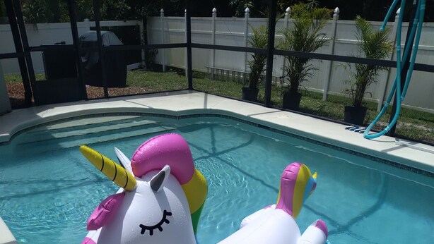 Ein Pool mit einem Einhorn-Schwimmpunkt.
