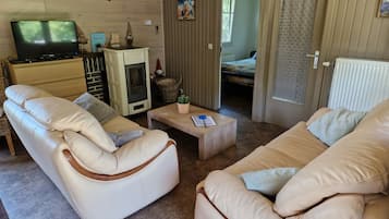 TV, DVD player, books