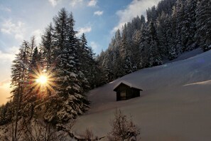 Uklassifisert bilde, 5 av 52, knapp