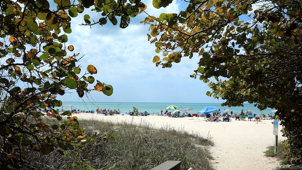 A beach path leading to a sandy beach with umbrellas and people.