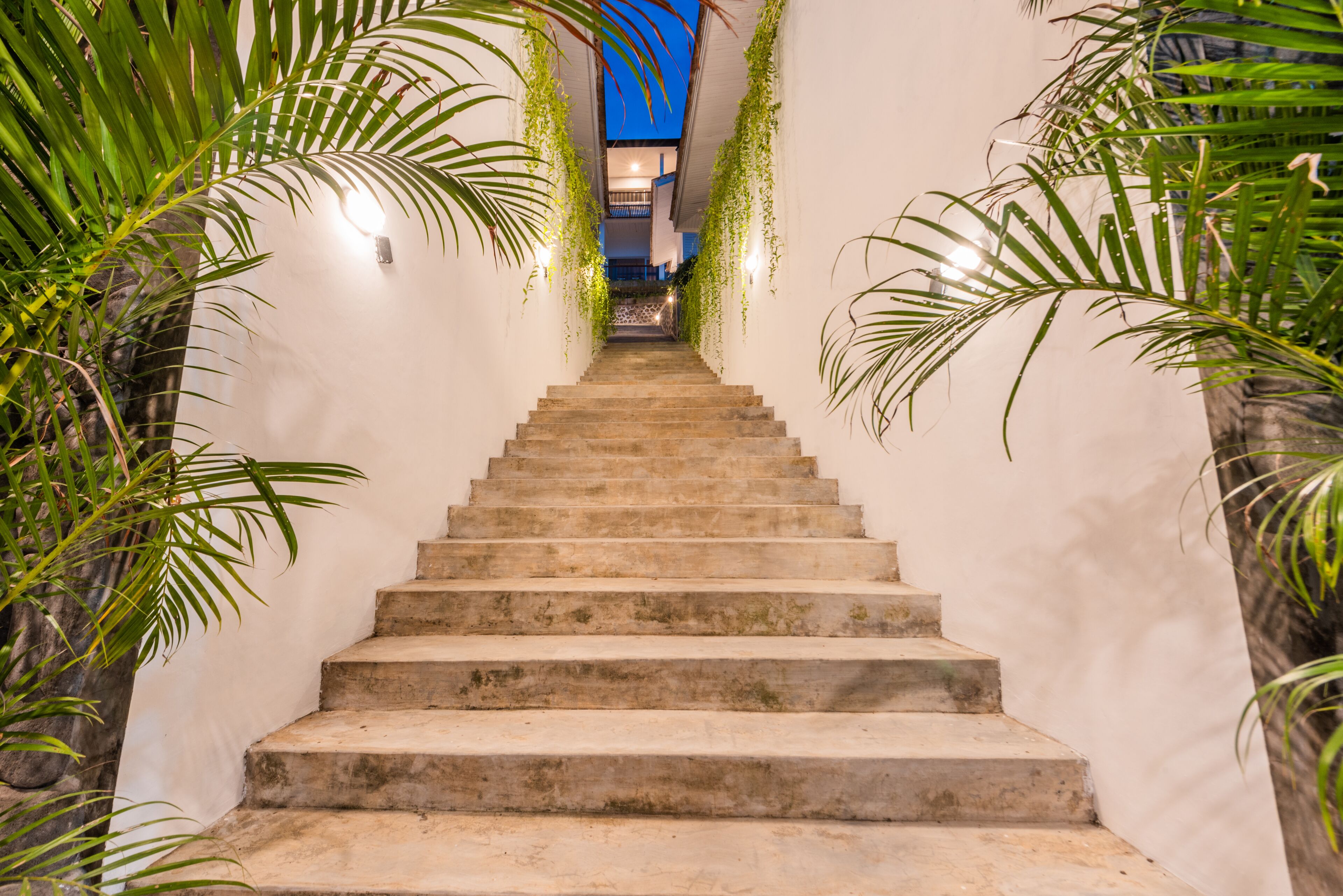 A staircase with a view of the upper floor, surrounded by greenery.