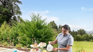 A person pouring tea into a cup at an outdoor table with a three-tiered dessert display, surrounded by greenery and a clear sky.