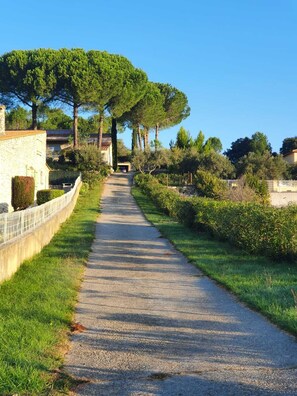 Property grounds - Campoussin vacation home (Montfrin)