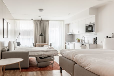 Standard Studio (Sofa Bed) | 2 bedrooms, iron/ironing board, free WiFi, bed sheets