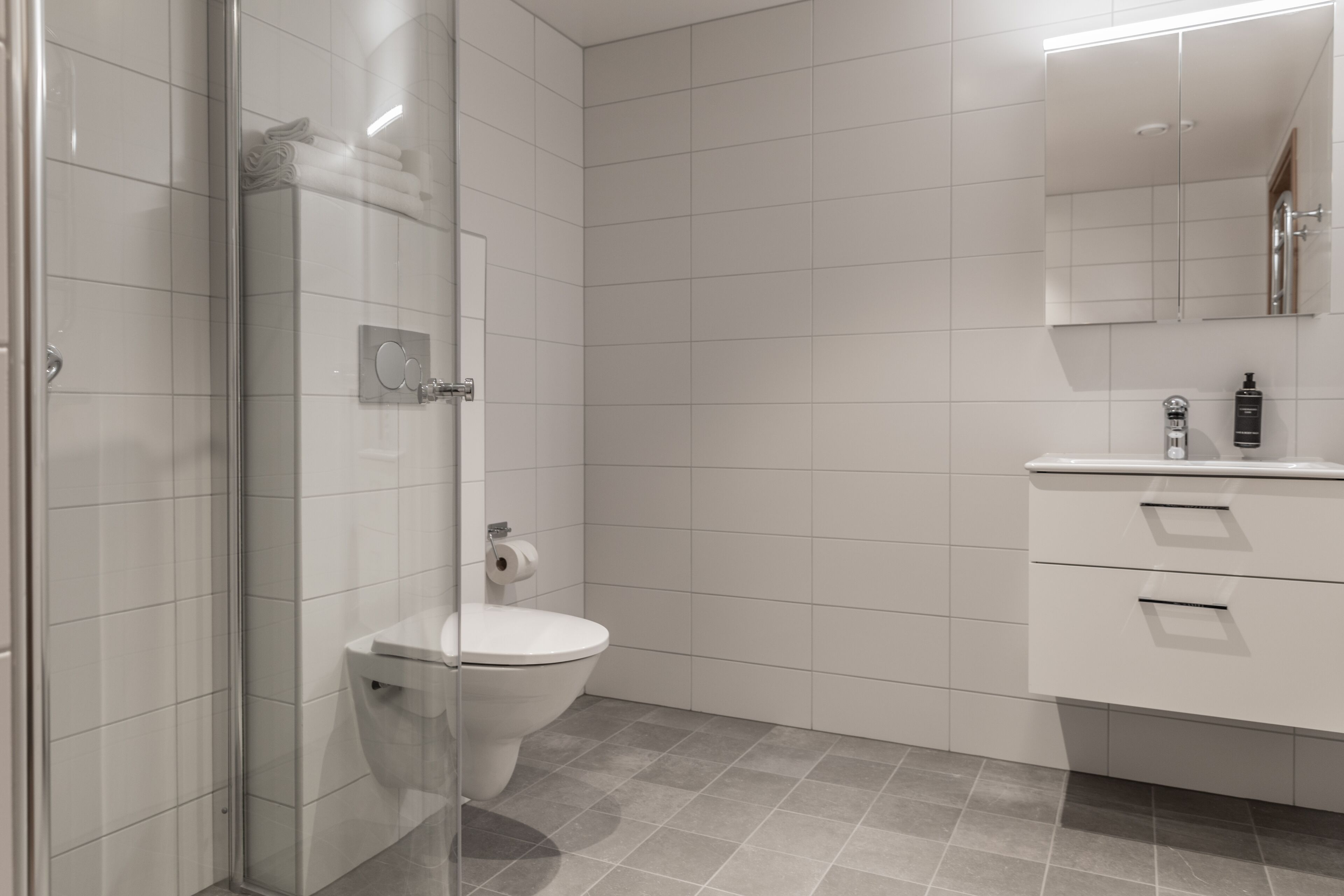 A modern bathroom with a glass shower enclosure, a toilet, and a vanity with a mirror.
