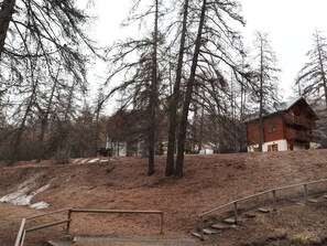 A rustic cabin with a wooden exterior, surrounded by a forested area with bare trees.