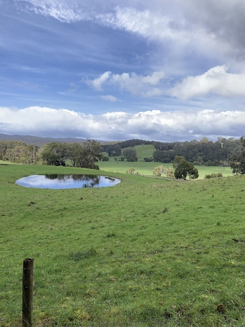 Barwon Forest walk