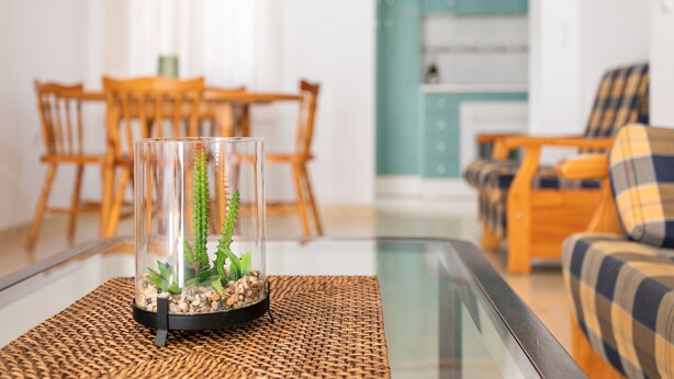 Een glazen terrarium met planten op een geweven onderzetter, een eettafel met stoelen, en een bank met geruite kussens op de achtergrond.
