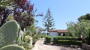 Un chemin pavé mène à un bâtiment doté d’un toit en tuiles, entouré de cactus et de divers arbustes.