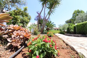 A garden with succulent plants and flowering plants, a stone pathway, and a palm tree.