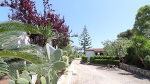 A residential street with a house, cacti, and various trees. - Apartment "Casa Vacanza Locorotondo Otranto" with Garden, Shared Pool & Wi-Fi (otranto)