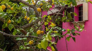 Un bâtiment à la façade rose, entouré d’arbres aux fruits jaunes.