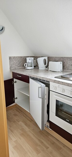 Fridge, oven, stovetop, coffee/tea maker