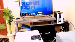 Un televisor sobre un soporte de madera, con un control remoto y una planta a un lado.
