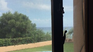 Vista a través de una ventana con mosquitero, mostrando una piscina, vegetación y un edificio al fondo.