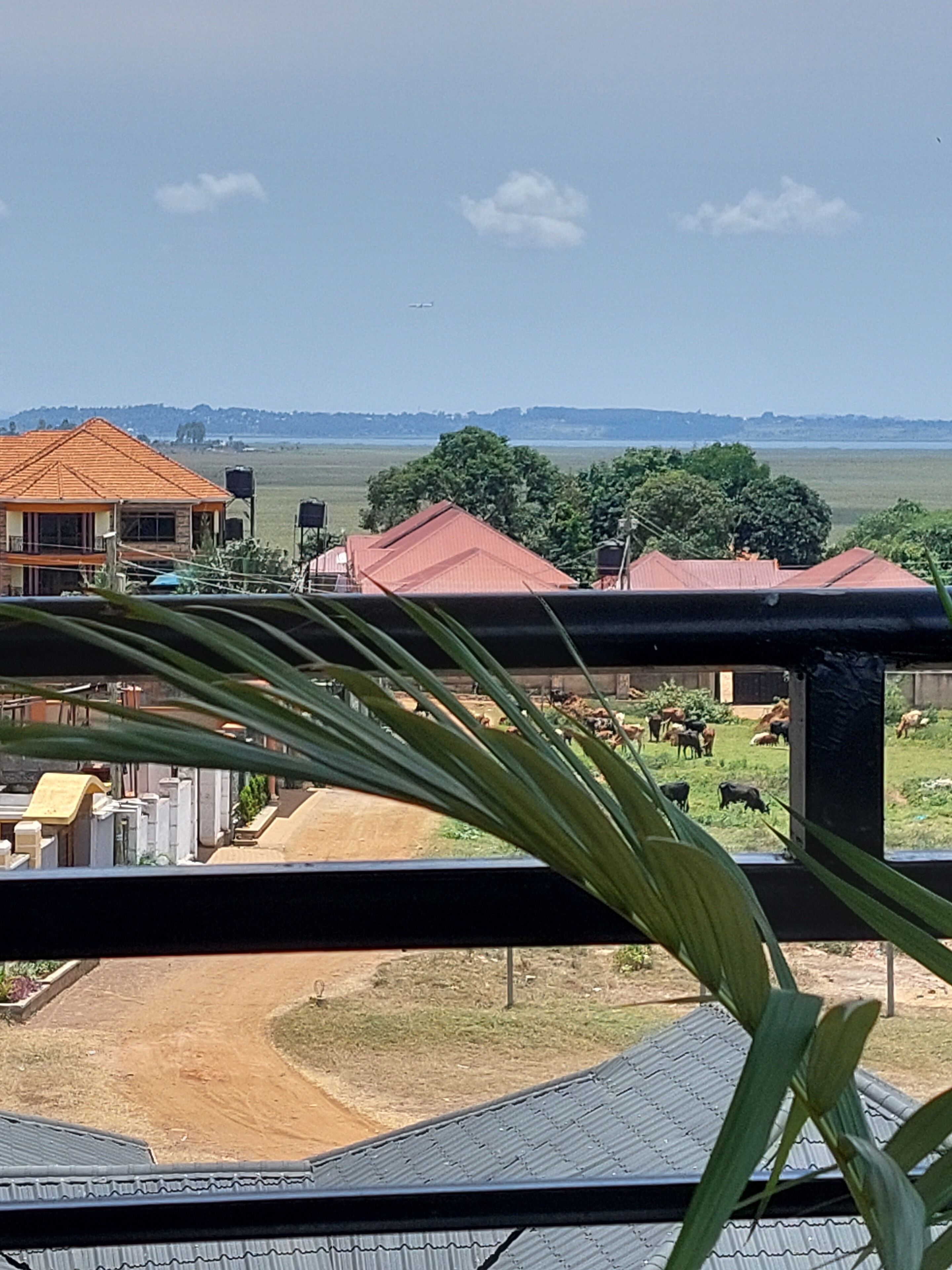 المنطقة المحيطة بالمنشأة