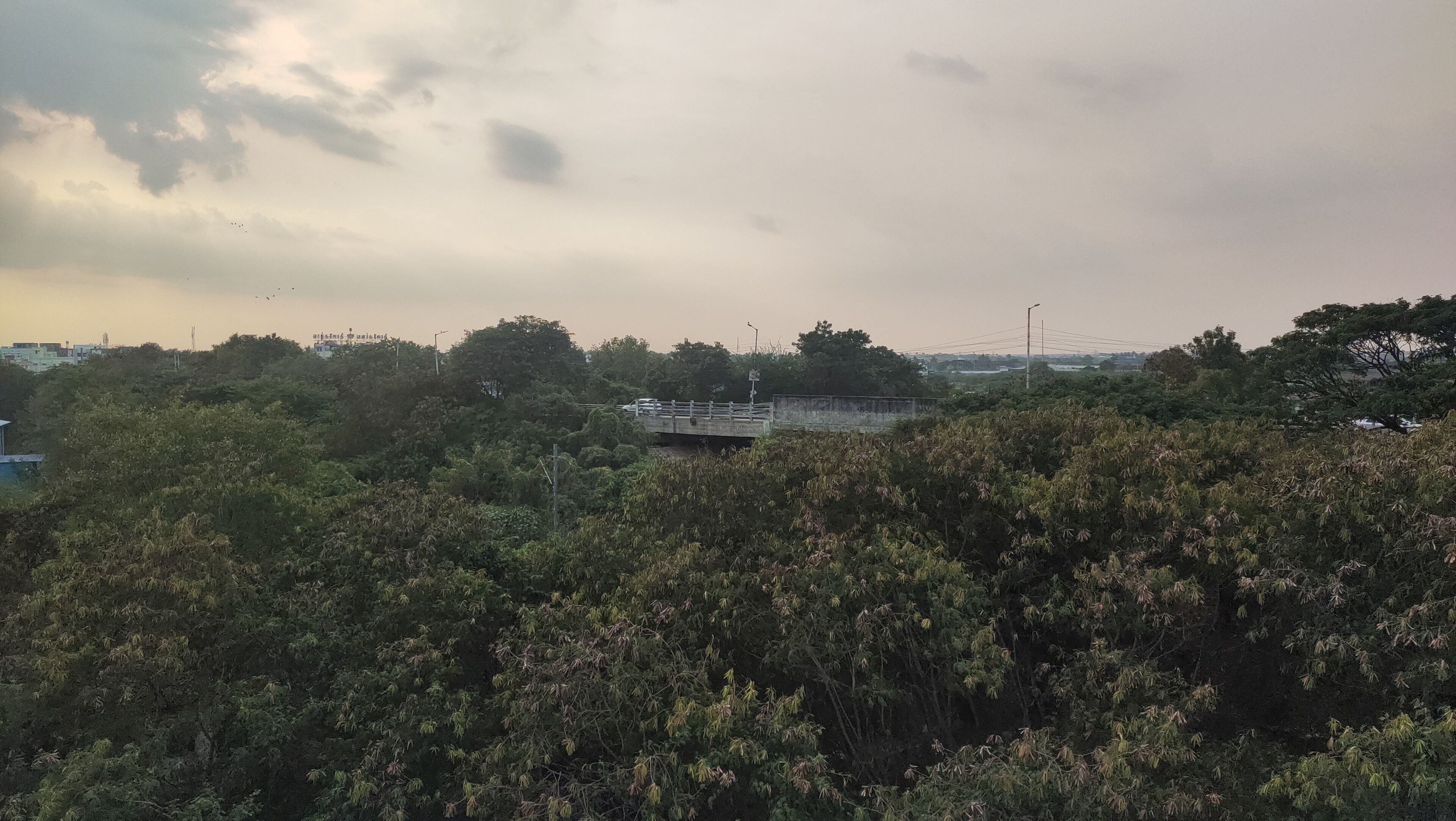 A bridge over a dense forest with a cloudy sky.