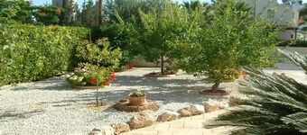 Detached 3 double bedroom villa with private heated pool in Paphos