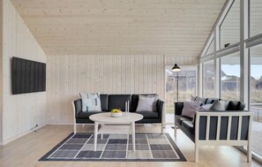 Smart-TV, Kamin