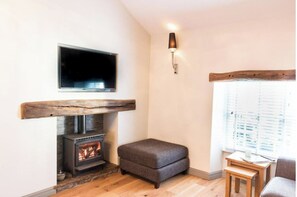 Smart TV, fireplace, books