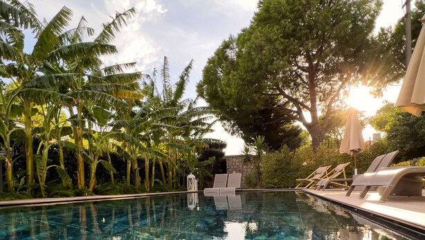 A clear pool with reflections, surrounded by palm trees and lounge chairs. - Cunda Pier Otel (Ayvalik)