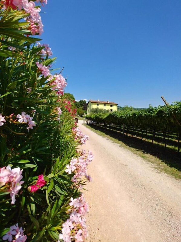Overnatningsstedets område