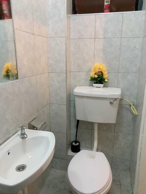 Shower, free toiletries, bidet, towels