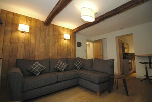 Smart TV, fireplace, books