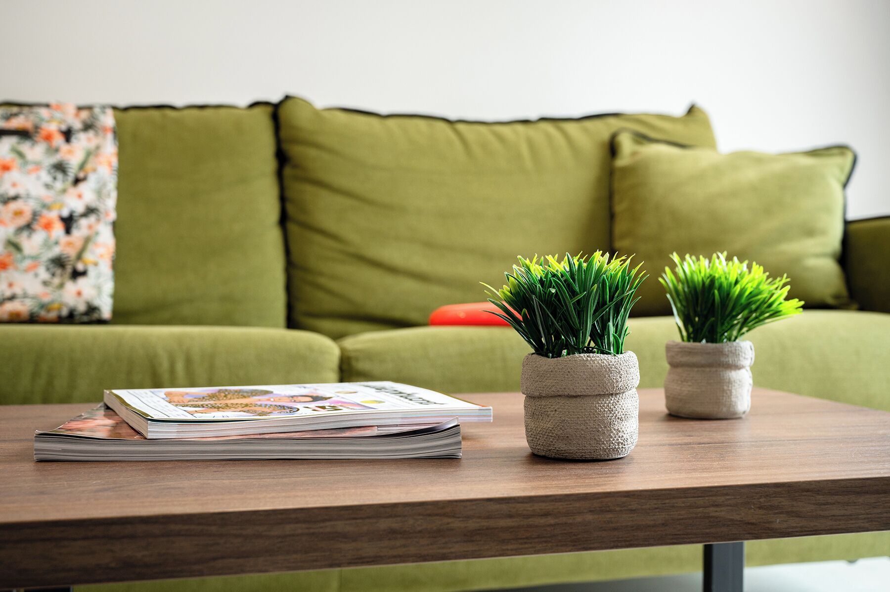 Una mesa de madera con una revista, dos plantas pequeñas en macetas y un sofá verde con cojines al fondo.