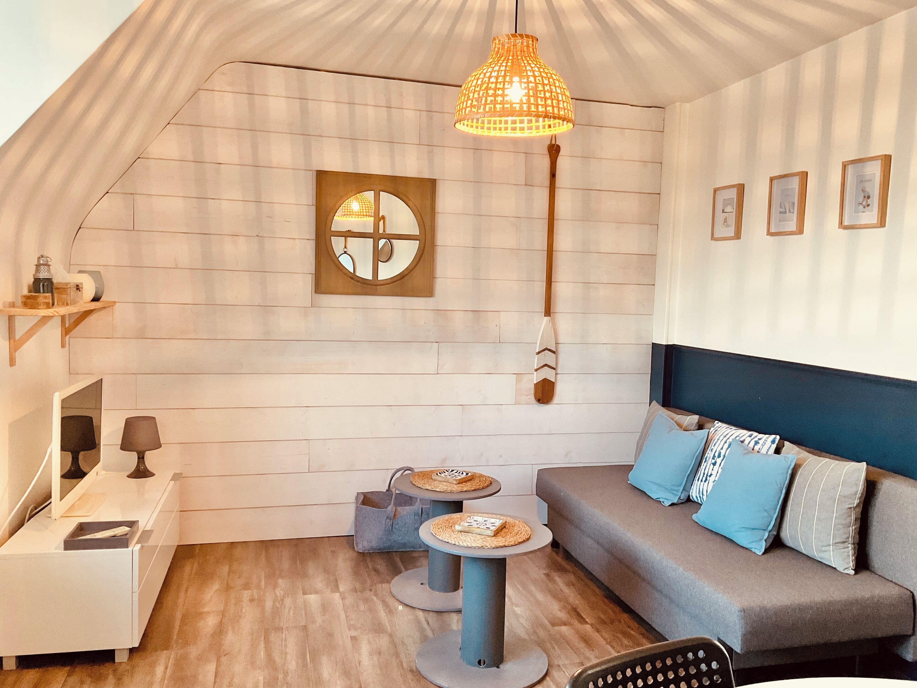 电视、DVD 播放器