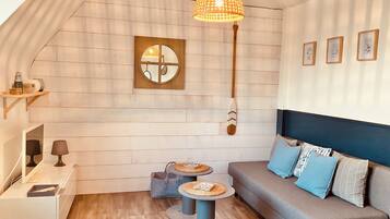 电视、DVD 播放器