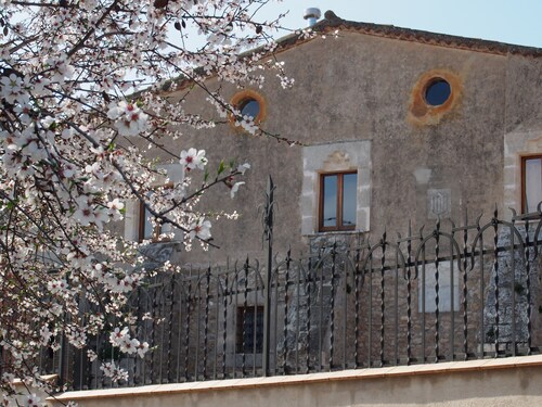 Accommodation in a winery, surrounded by biodynamic vineyards!