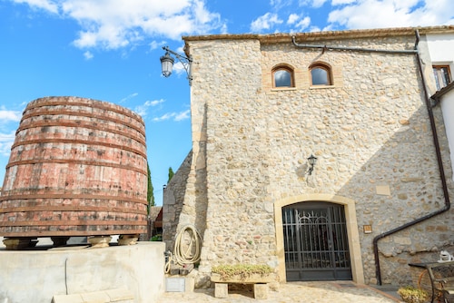 Accommodation in a winery, surrounded by biodynamic vineyards!