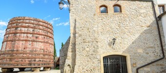 Accommodation in a winery, surrounded by biodynamic vineyards!