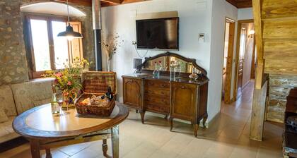 Accommodation in a winery, surrounded by biodynamic vineyards!