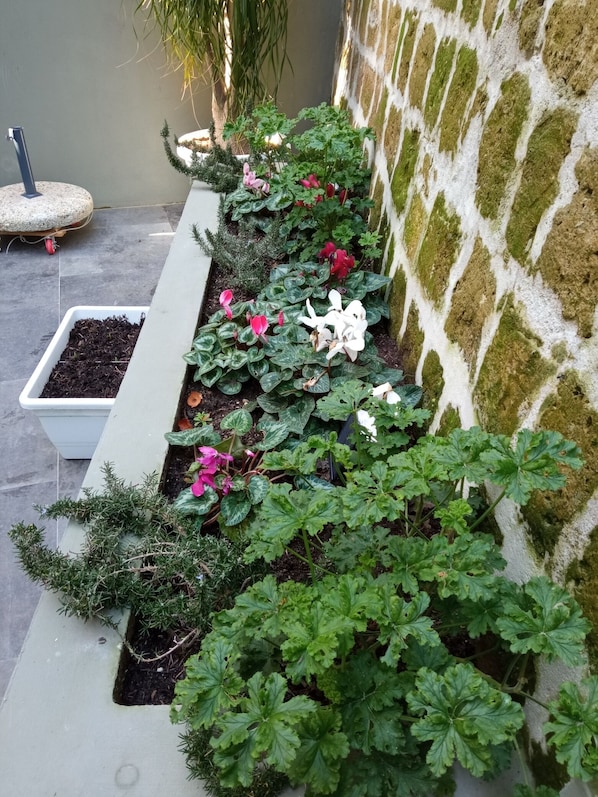 Dettaglio esterni