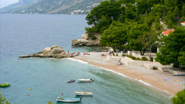 A coastal beach with boats, a stone wall, and trees. - Apartment Papilio (Brela)
