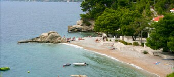 아파트먼트 파필리오