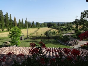 Parco della struttura